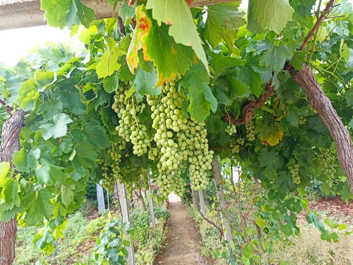 Trullo22 Villa Martina Franca Kültér fotó